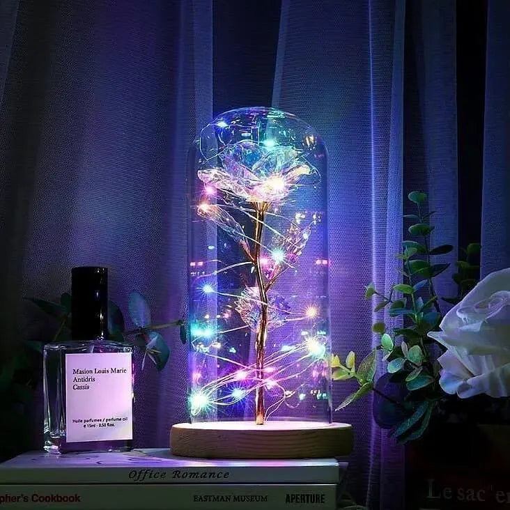 Rosa Love Led - Rosa Encantada na Cúpula de Vidro Minha loja