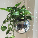 Cachepot Stellare Design Modern