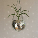 Cachepot Stellare Design Modern