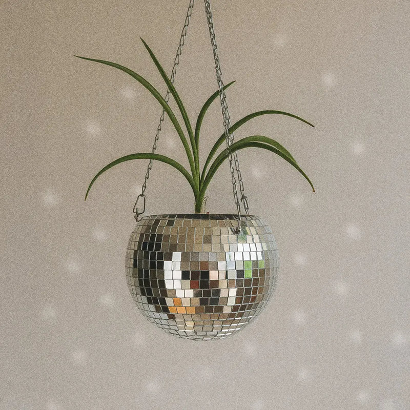 Cachepot Stellare Design Modern