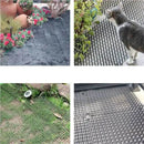 Esteira de Proteção contra Animais para Jardim - PetShield Produtgy