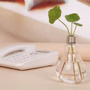 Vaso de Planta em Lâmpada Hidropônico Decorativo Minha loja