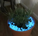 Pedras Mágicas para Jardim - Magic Stone Produtgy