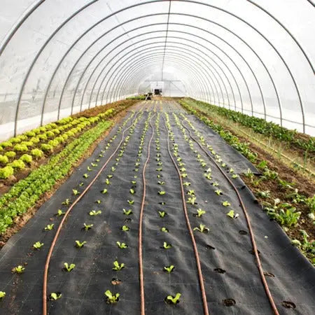 Rafia de Solo para Jardim de Controle de Ervas Daninhas Produtgy