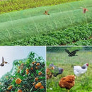 Rede de Proteção Anti-pássaros para Jardim e Plantas Produtgy