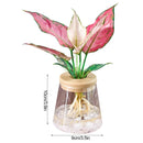 Vaso Hidroponia para Flores e Plantas Minha loja