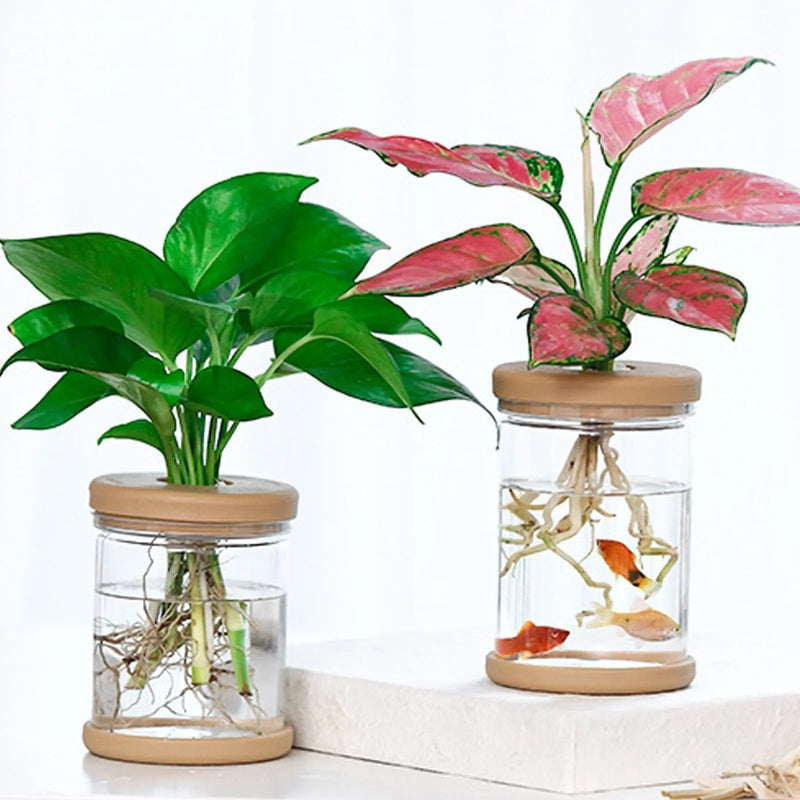 Vaso Hidroponia para Flores e Plantas Minha loja