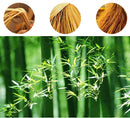 Luminária de Bambu Artesanal Para Casa Minha loja