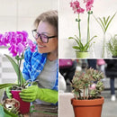 Suporte Inteligente para Plantas de Jardim - GardenLift Produtgy