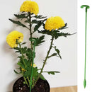 Suporte Inteligente para Plantas de Jardim - GardenLift Produtgy